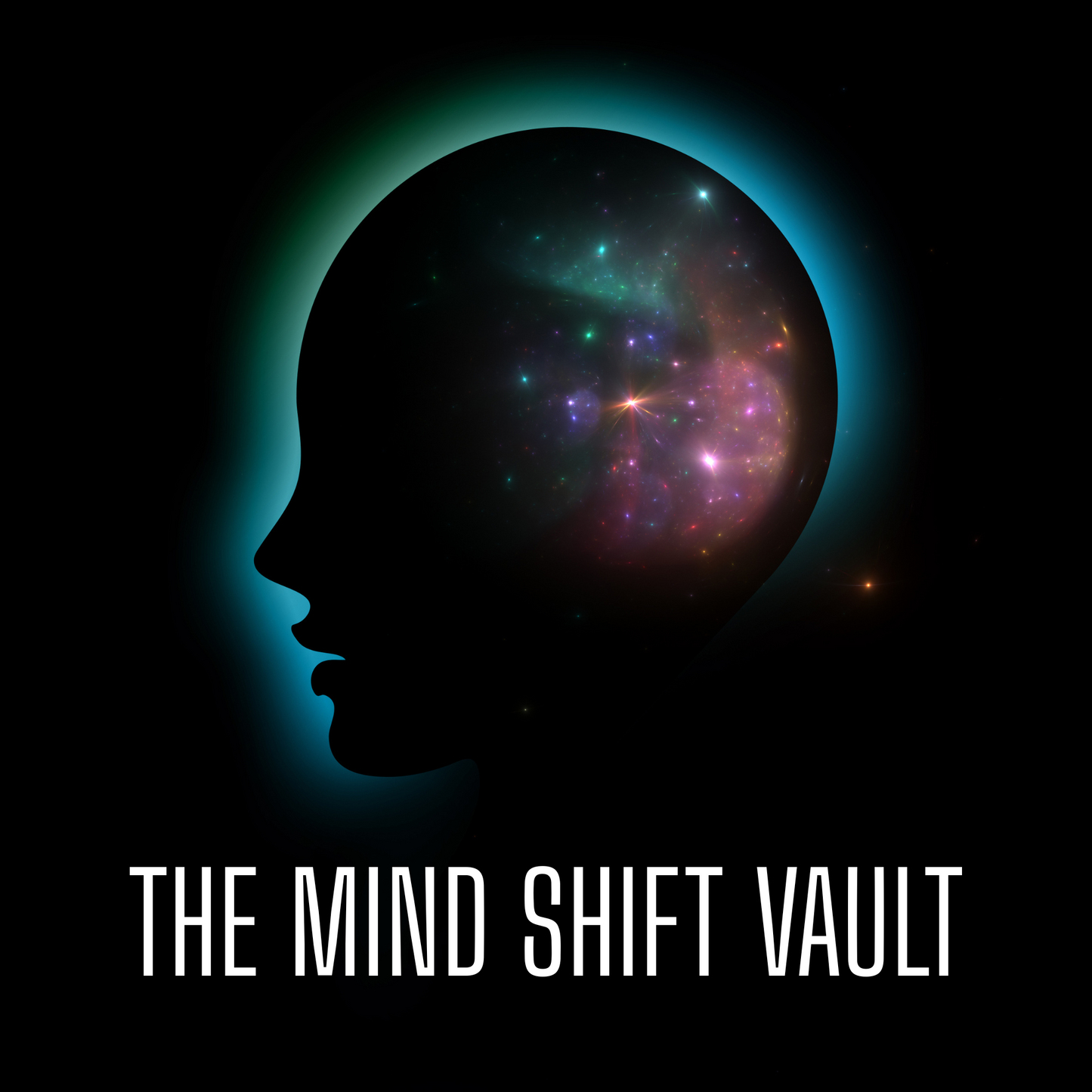 THE DIGITAL MIND SHIFT VAULT